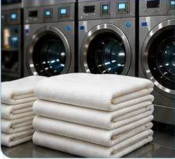 Entretien du linge